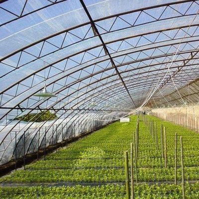 Sistema de sombreado y ventilación para el cultivo de tomates para el transporte de contenedores de 40HQ Reefer