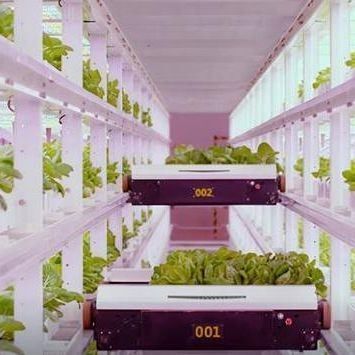 Agricultura vertical de contenedores de envío con invernadero comercial y diseño multi-espacio