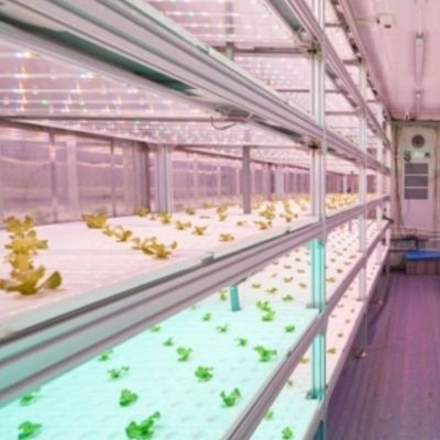 Invernadero de contenedores de transporte para la agricultura hidropónica vertical en la industria comercial