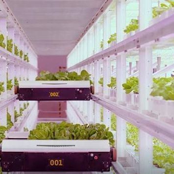 Invernadero de contenedores de transporte para la agricultura hidropónica vertical en la industria comercial