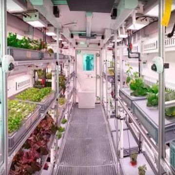 Contenedor de cultivo hidropónico vertical de invernadero comercial