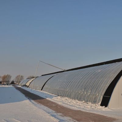 Sistema de riego optimizado para invernaderos de luz solar de tomate con un solo tramo JX-SG-127