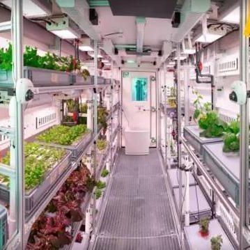 Invernadero de contenedores de cultivo vertical comercial con sistema hidropónico
