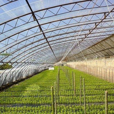 Invernadero de calefacción temporal con control climático de la luz solar para tomates y pepinos