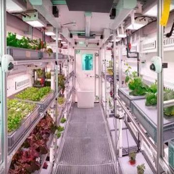 Sistema hidropónico de hortalizas Contenedor invernadero para cultivo vertical JX-CG-103
