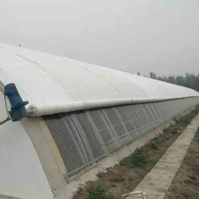 Estructura de acero/invernadero de luz solar con control de humedad de pared para cultivo de vegetales
