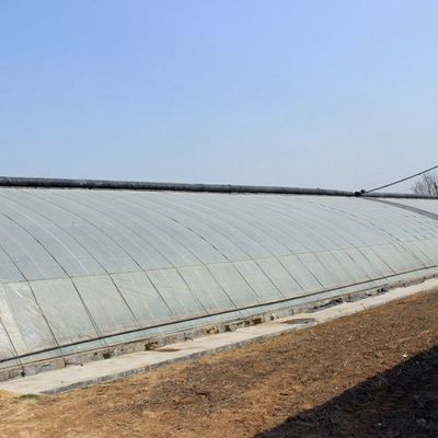 Estructura de acero/invernadero de luz solar con control de humedad de pared para cultivo de vegetales