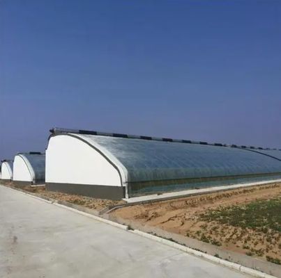 Juxiang Riego Automatizado Invernadero de luz solar para verduras Ventilación y sombreado
