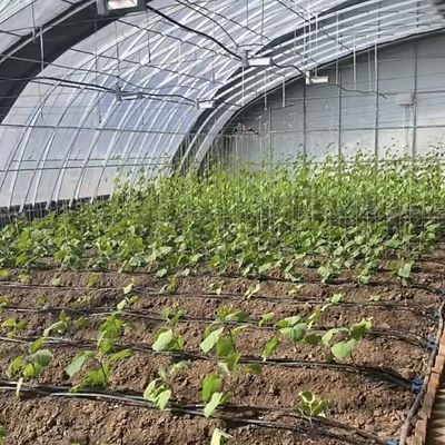 Juxiang Riego Automatizado Invernadero de luz solar para verduras Ventilación y sombreado