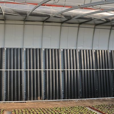 Juxiang Riego Automatizado Invernadero de luz solar para verduras Ventilación y sombreado