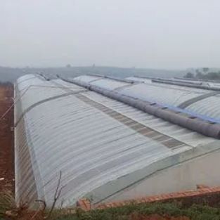 Juxiang Riego Automatizado Invernadero de luz solar para verduras Ventilación y sombreado