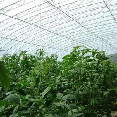 Sistema de riego Invernadero de luz solar para vegetales Moneda estadounidense y calefacción temporal
