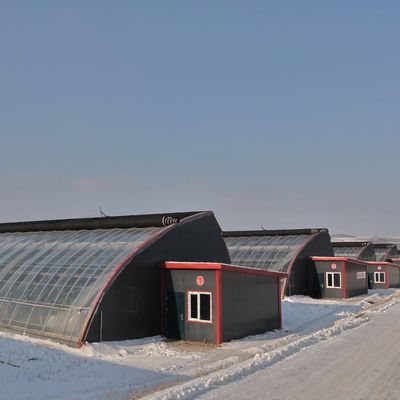 Sistema de riego Invernadero de luz solar para vegetales Moneda estadounidense y calefacción temporal