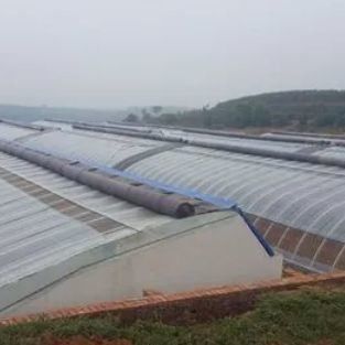 Sistema de riego Invernadero de luz solar para vegetales Moneda estadounidense y calefacción temporal