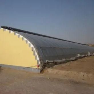 Invernadero para el cultivo de tomate con luz solar de doble capa y techo arqueado