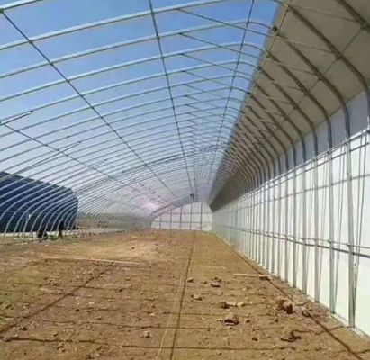 Invernadero para el cultivo de tomate con luz solar de doble capa y techo arqueado