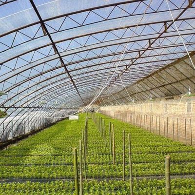 Invernadero de doble capa para el cultivo de hortalizas y la productividad temporal de calefacción