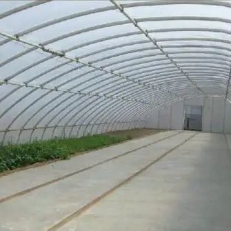 Invernadero de luz solar para vegetales avanzados con control de humedad y crecimiento óptimo de las plantas