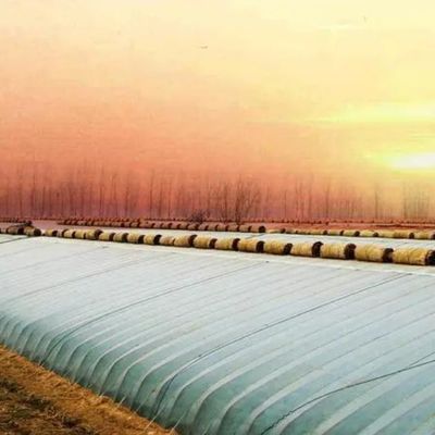 Paquete Peso bruto 2000.000kg Invernadero ligero con luz solar para el cultivo de verduras