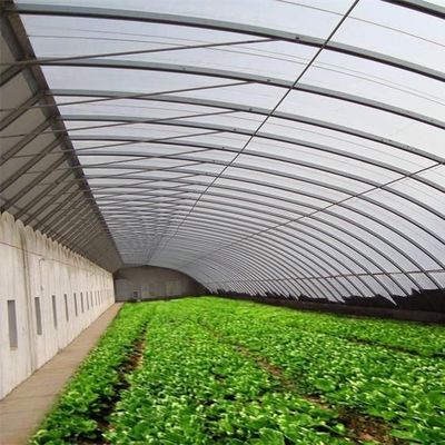 Paquete Peso bruto 2000.000kg Invernadero ligero con luz solar para el cultivo de verduras