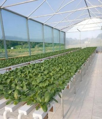 Revolucionaria tecnología de cultivo hidropónico vertical para invernaderos de contenedores de transporte