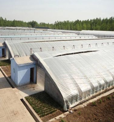 1209.00cm * 235.00cm * 239.00cm Tomate y pepino plantación de invernadero de luz solar para su