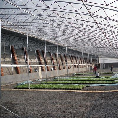 1209.00cm * 235.00cm * 239.00cm Tomate y pepino plantación de invernadero de luz solar para su