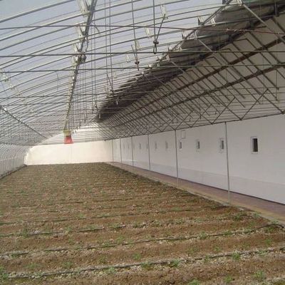 1209.00cm * 235.00cm * 239.00cm Tomate y pepino plantación de invernadero de luz solar para su