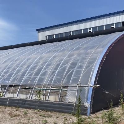 1209.00cm * 235.00cm * 239.00cm Tomate y pepino plantación de invernadero de luz solar para su
