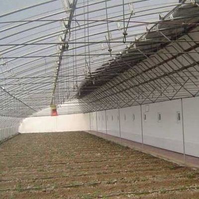 1209cm * 235cm * 239cm Invernadero de película para sombreado y ventilación de las plantaciones de tomate
