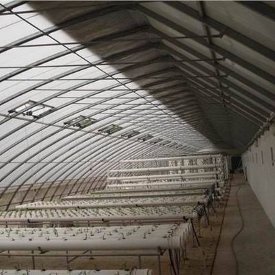 1209cm * 235cm * 239cm Invernadero de película para sombreado y ventilación de las plantaciones de tomate
