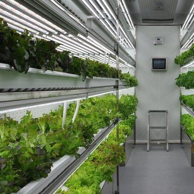 Invernadero de contenedores de agricultura vertical en el diseño de contenedores de transporte marítimo