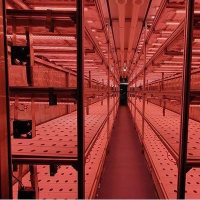 Invernadero de alta humedad de cultivo vertical Contenedor hidropónico para verduras