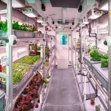 Invernadero de contenedores de varias franjas para sistemas hidropónicos y ventajas de cultivo vertical