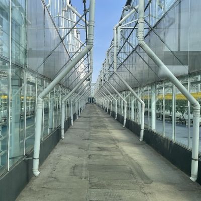 Invernadero de vidrio con techo arqueado con sistema de hidroponía