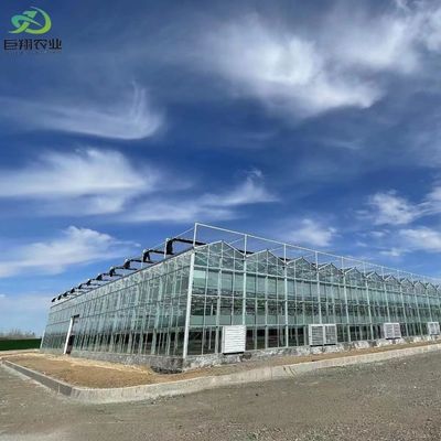 Invernadero de vidrio con techo arqueado con sistema de hidroponía