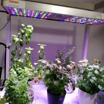 Contenedor de transporte Agricultura vertical Invernadero comercial con innovación hidropónica