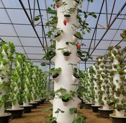 Contenedor de cultivo vertical Invernadero en 40HQ Reefer con contenedor hidropónico