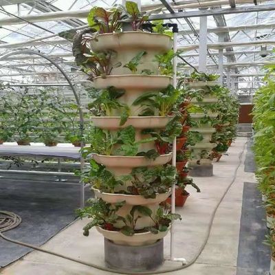 Contenedor de cultivo vertical Invernadero en 40HQ Reefer con contenedor hidropónico
