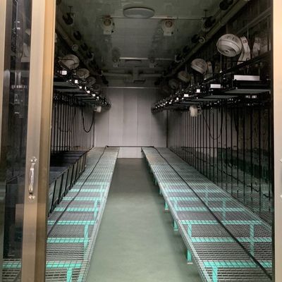 Contenedor de cultivo hidropónico vertical de cubierta de acero Invernadero con tecnología avanzada