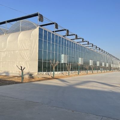 Sistema hidropónico de doble capa invernadero de película de túnel alto con opción de personalización