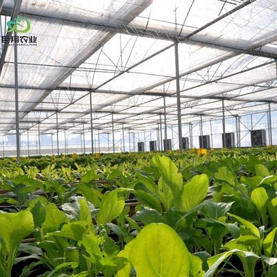 Invernadero de cultivo hidropónico cubierto con láminas de plástico y diseño de sola franja