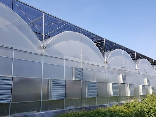 Invernadero de cultivo hidropónico cubierto con láminas de plástico y diseño de sola franja