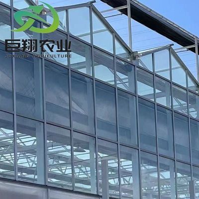 Personalización Juxiang Invernadero de película comercial personalizable y invernadero de vidrio