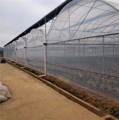 Sistema hidropónico de múltiples tramos para el invernadero de película de granja Peso bruto 2000.000kg