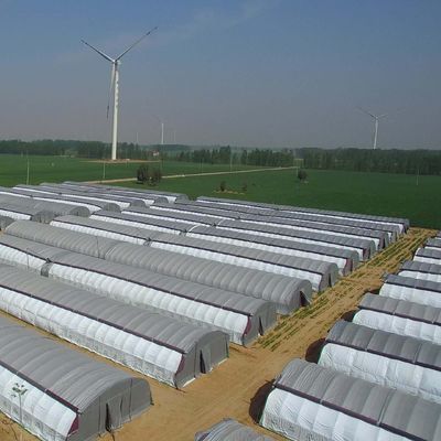 Sistema hidropónico de múltiples tramos para el invernadero de película de granja Peso bruto 2000.000kg