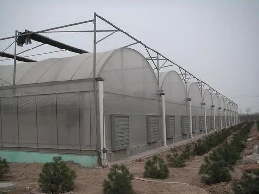 Sistema de invernaderos hidropónicos de estructura de acero para una agricultura sostenible