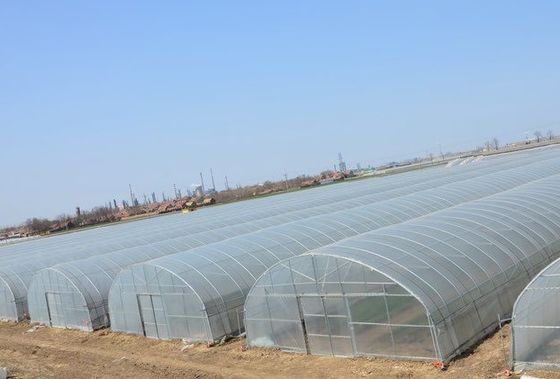 Sistema de invernaderos de panela única de Estados Unidos para el cultivo de verduras y flores 30 días de reembolso