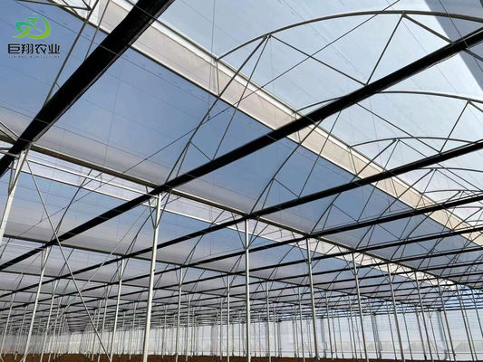 Sistema de invernaderos de panela única de Estados Unidos para el cultivo de verduras y flores 30 días de reembolso
