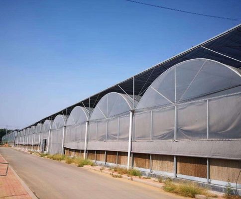 Sistema de invernaderos hidropónicos de múltiples tramos para producción y experimentación comercial